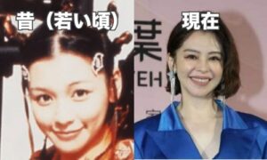 【最新】ビビアンスー47歳の現在が超かわいい!昔と今を画像比較! - お役立ちNEWS